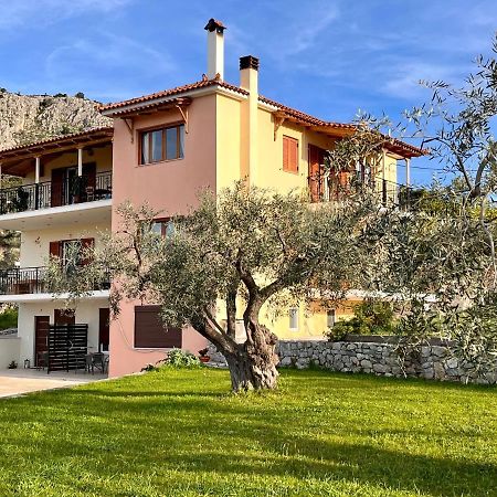 Ενtree Guest House Near Palamidi Castle Nafplio Exterior photo